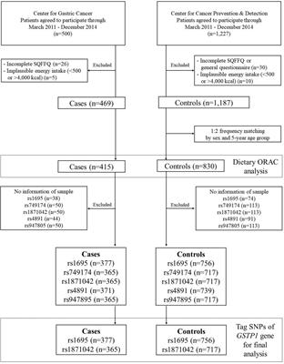 Antioxidant-Rich Diet, GSTP1 rs1871042 Polymorphism, and Gastric Cancer Risk in a Hospital-Based Case-Control Study